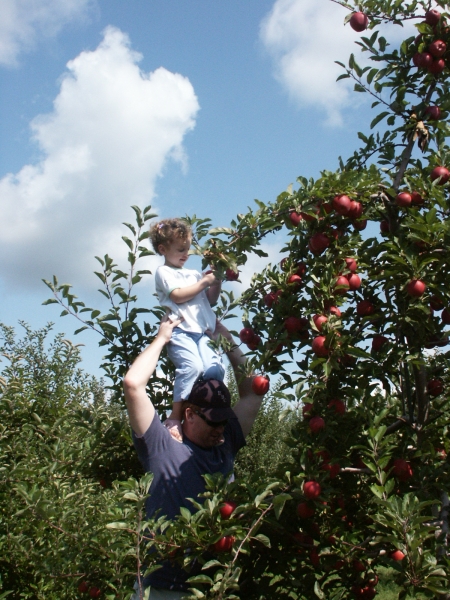Click for the original image