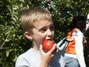 PICT0105 * 1600 x 1200 * (888KB)