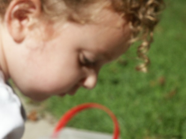 Click for the original image