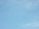 PICT0093 * 1600 x 1200 * (614KB)
