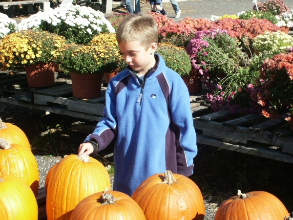 Click for the original image