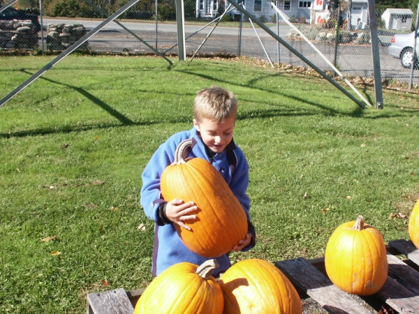 Click for the original image