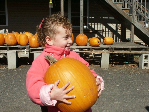 Click for the original image