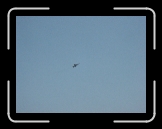 PICT0121 * 1600 x 1200 * (662KB)