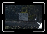 PICT00110 * 648 x 432 * (219KB)