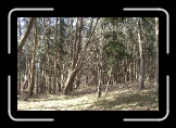 CIMG3282 * 2816 x 1872 * (2.23MB)