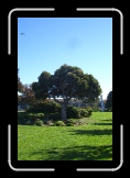 CIMG3434 * 1588 x 2380 * (2.51MB)
