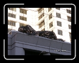 CIMG3474 * 2272 x 1704 * (761KB)