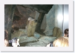 CIMG0944 * 612 x 407 * (252KB)
