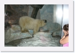 CIMG0947 * 612 x 407 * (222KB)