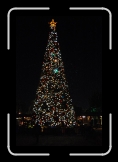 1229_DSC_0454 * 640 x 963 * (72KB)